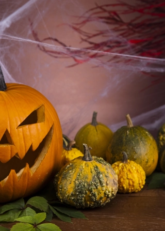 Kreativ Design 1 Frederikshavn - efterår 2025 - Klik for at tilmelde dig